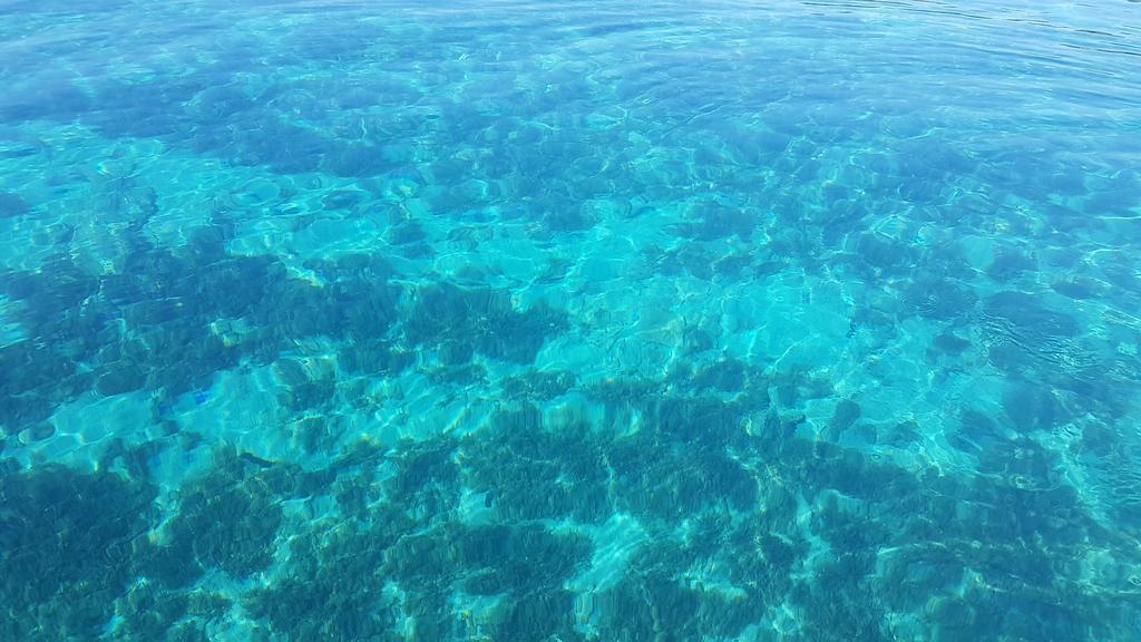 Soldinn * Privlaka (Zadar)
